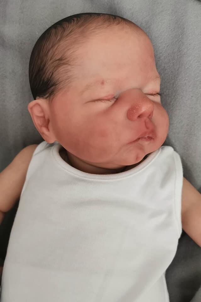 Realistic Newborn Baby Dolls 49CM Lifelike Silicone Reborn Baby Dolls That Look Real 3D Skin Multiple Layers Painting Visible Veins High Quality Collectible Art Doll